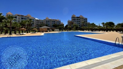 Jardín - Piscina