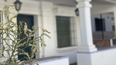 Fachada artística 
